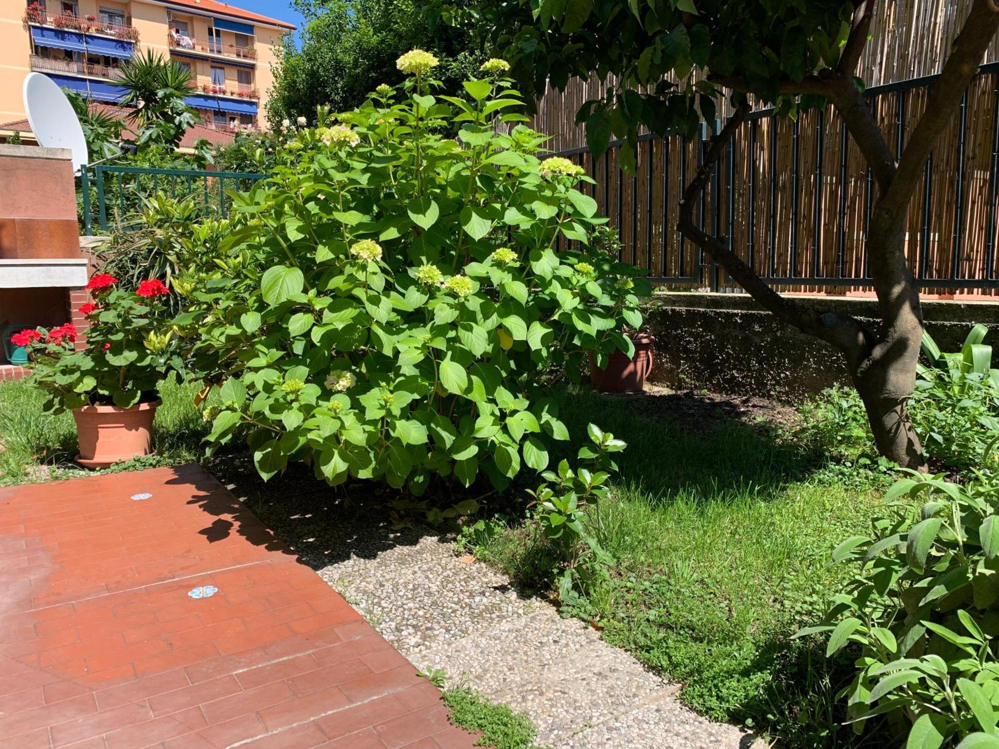 Il Giardino Dei Limoni Apartment Chiavari Exterior photo